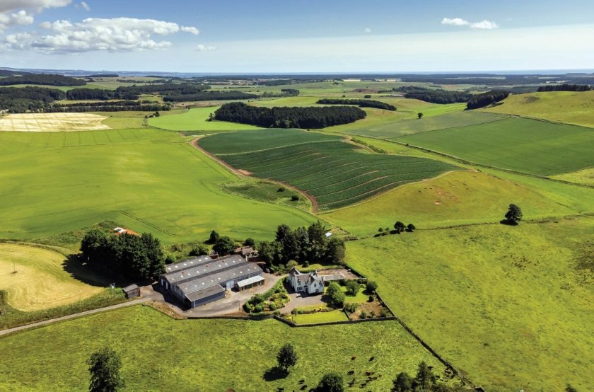 Easter Kinnear Farm, Fife, benefits from productive land capable of supporting a wide range of crops (Photo: Galbraith)