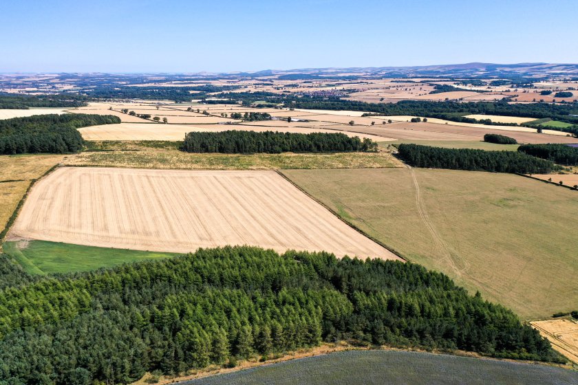 The Scottish government is on the hunt for a new chair as the nation approaches a decisive time in its land reform journey