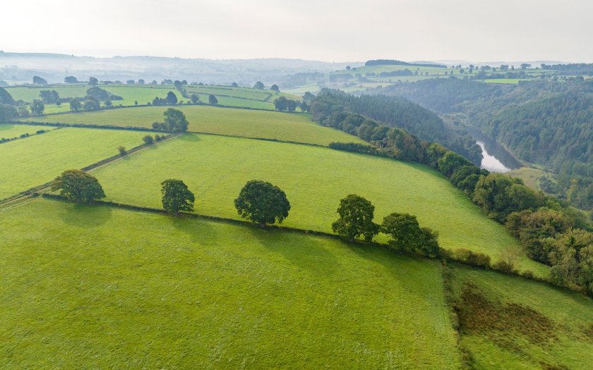 There is ongoing demand for this type of farm, according to property agents (Photo: H&H Land & Estates)