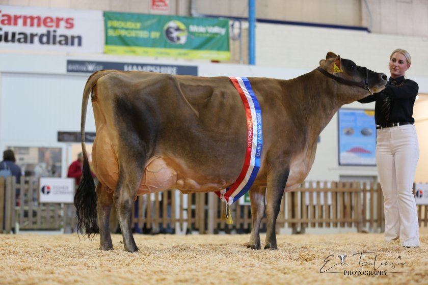 Scooping the prestigious interbreed championship was a home-bred Jersey cow exhibited by Emily Davis