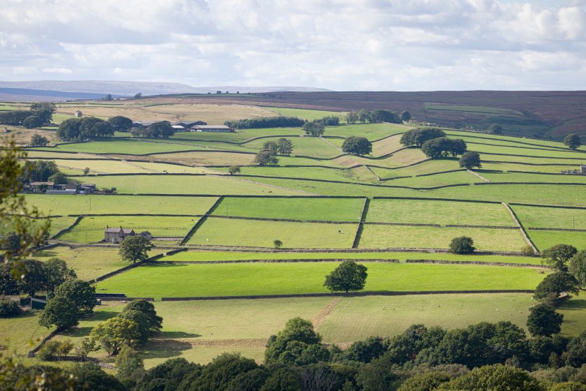 Traditional farmer buyers have accounted for around 40% of transactions so far in 2023, Strutt & Parker says