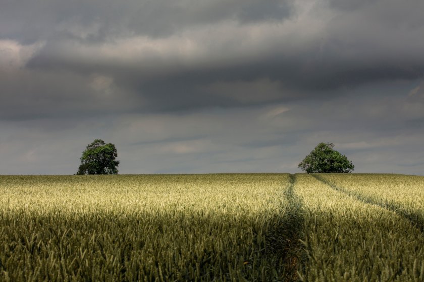 LRSN is a volunteer-led organisation that provides support to Lincolnshire's farming and horticultural communities