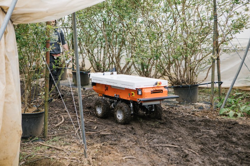 The FLEXBOT project involves Fox Robotics' autonomous all-terrain robot 'Hugo RT', designed with horticulture farms in mind