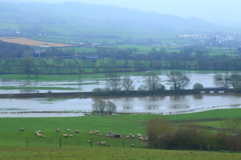 The two-year programme aims to reduce flood risk for around 2,000 properties using the power of nature