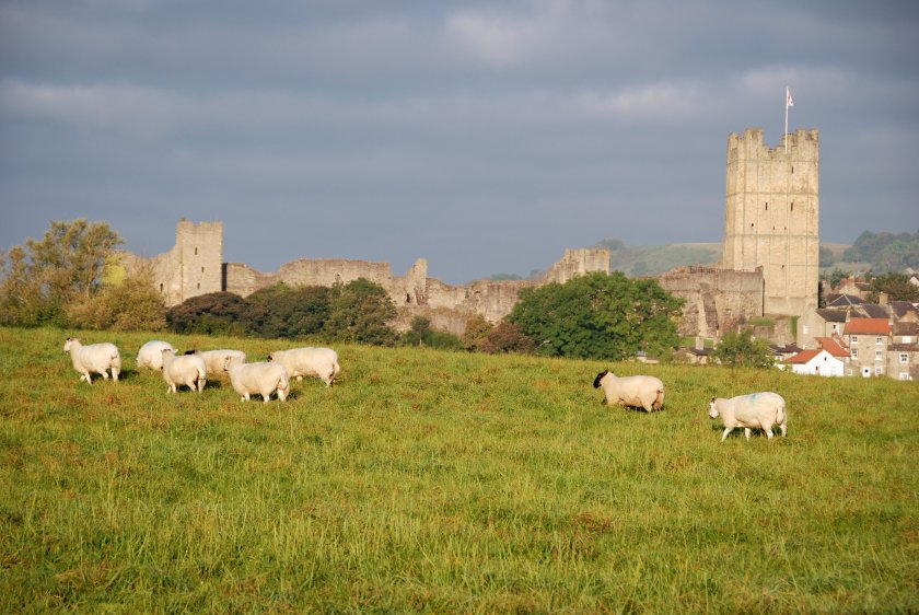 NFU President Minette Batters said it was a 'win-win' for councils to support British food wherever possible