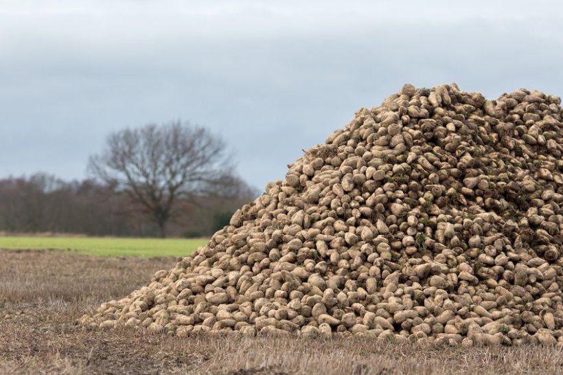 Despite the formal offer, British Sugar still has not yet been able to agree a price and full terms and conditions with NFU Sugar