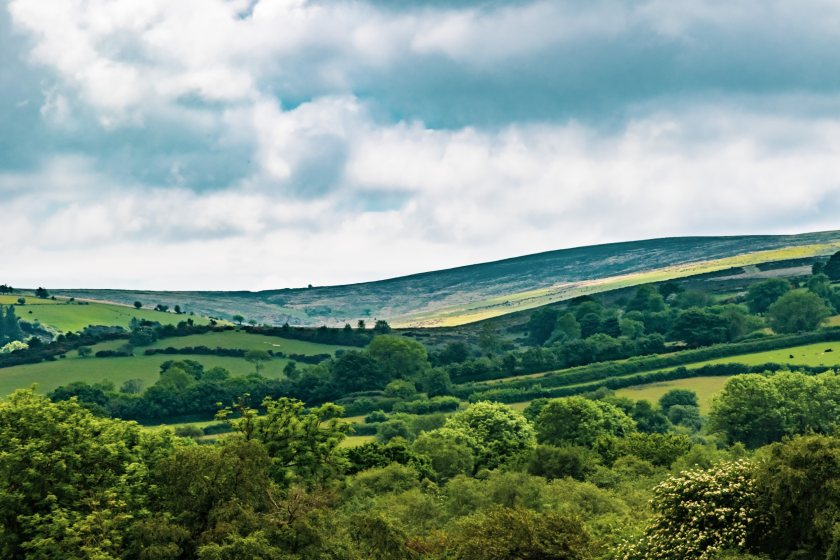 Defra is holding an independent inquiry into controversial proposals to reduce grazing levels on Dartmoor