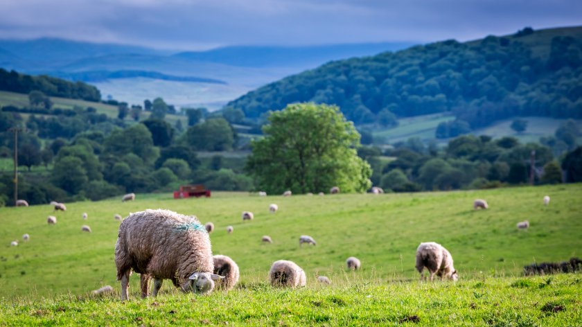 Cumbria YFC, founded in 1937, is included in the first cohort of voluntary organisations to receive the award