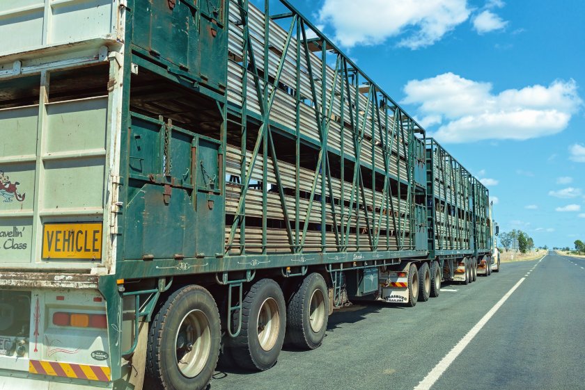 Steve Barclay has previously shown strong support for the need to legislate against the live export of animals