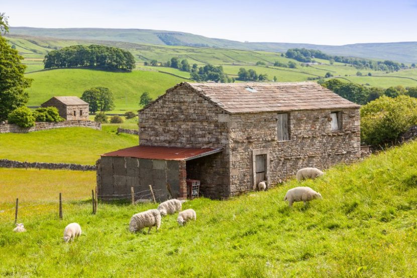 The potential role of an independent Tenant Farming Commissioner is being explored by Defra