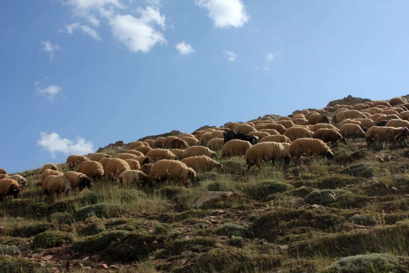 The findings of the survey show that the benefits of Welsh farming are recognised by a large proportion of the population