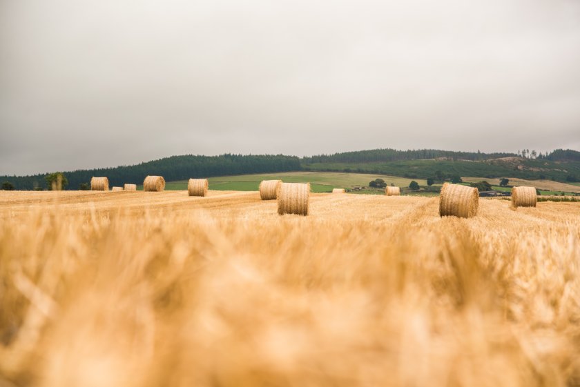 A revealing new report on land trends has brought fresh insights into the dynamics of rural land transactions in Scotland