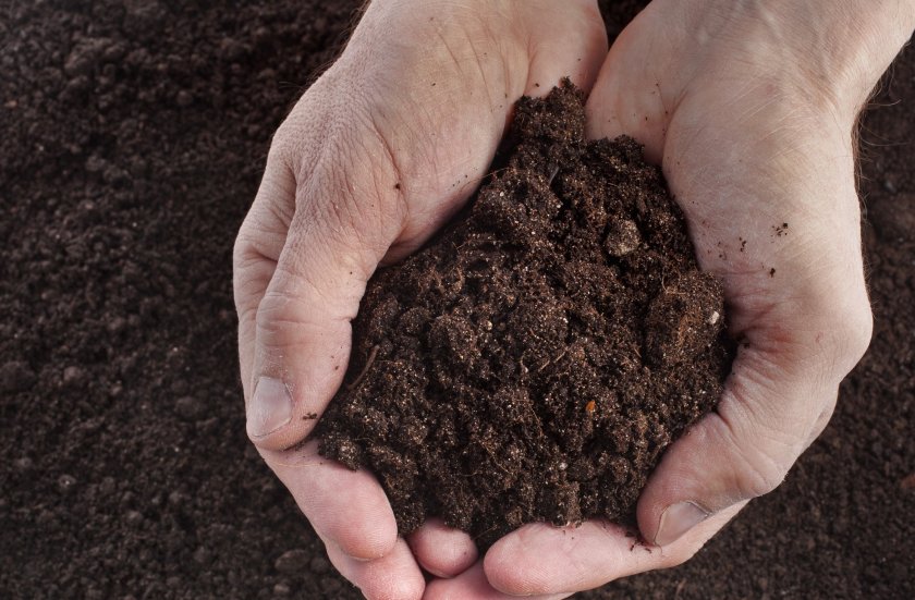 In recent years, soil in the UK has become heavily degraded through over-use, erosion, compaction, or pollution