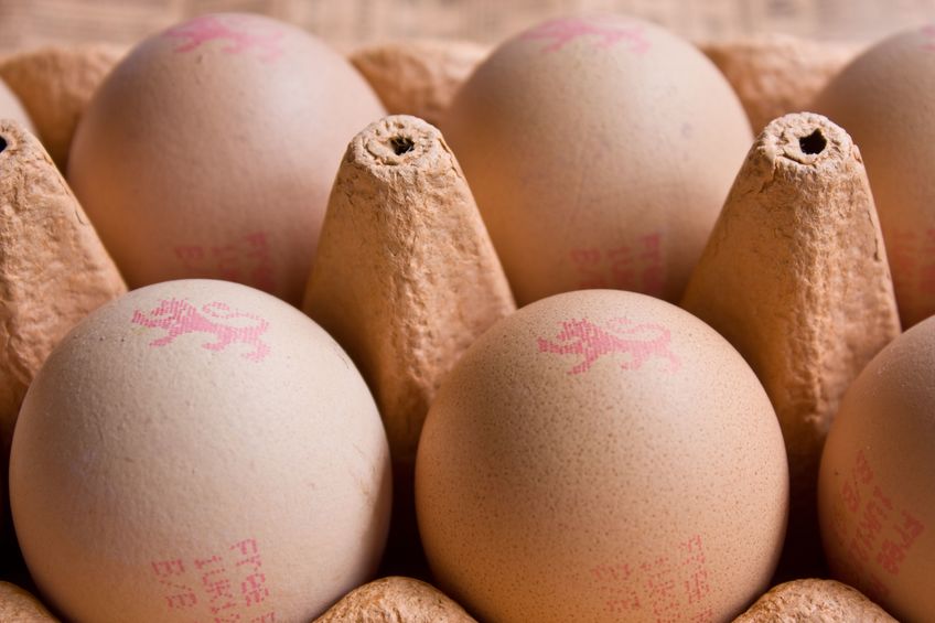 The government's review seeks to increase fairness in the UK egg supply chain