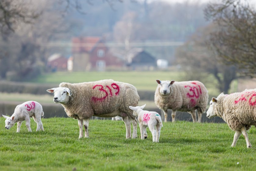 Strutt & Parker has highlighted eight hot topics the farming industry should watch out for in 2024