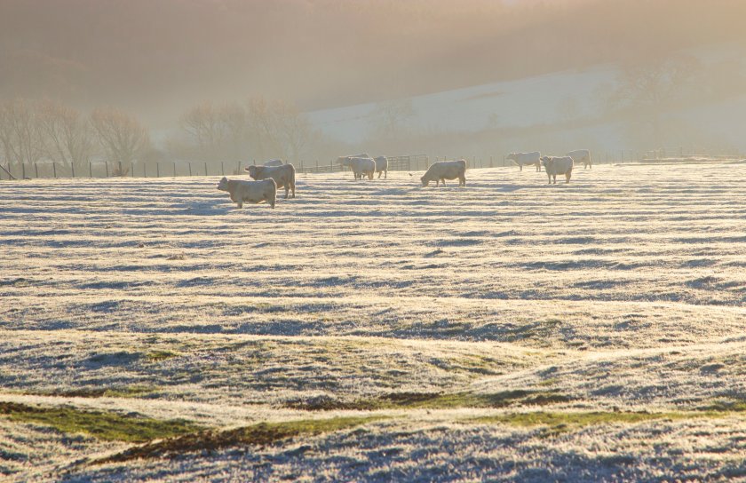 The Defra Secretary has urged the public to 'raise a glass' to UK farmers and food producers this Christmas