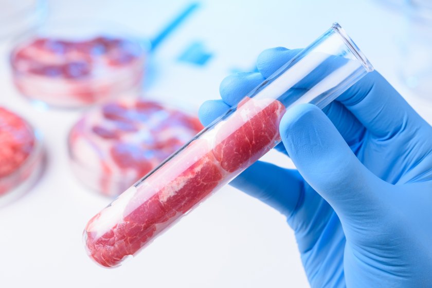 A common concern among farmers taking part in the study was the lack of information on the technology behind lab-grown meat