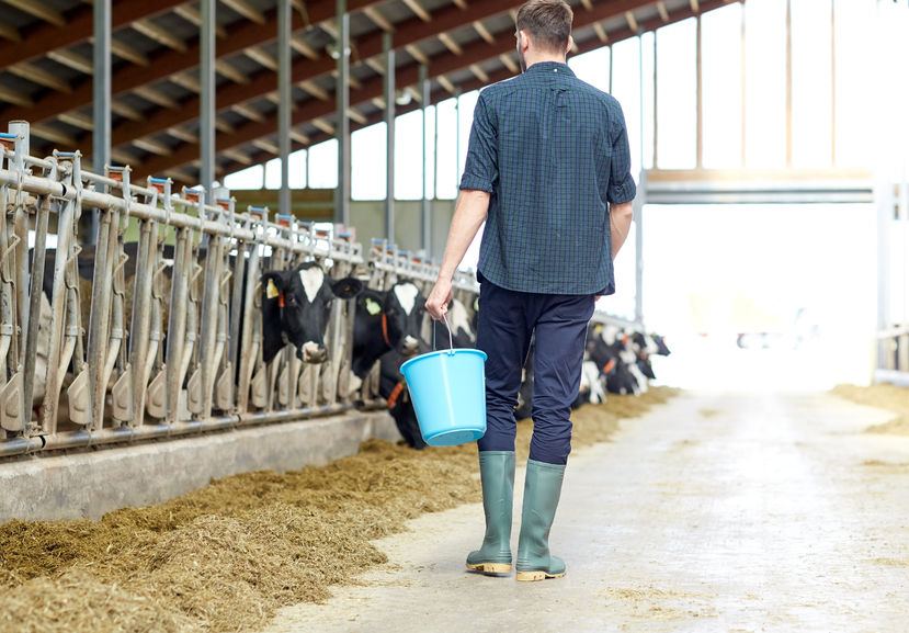 A new approach is needed to widen the uptake of apprenticeships to support small farms, the report says