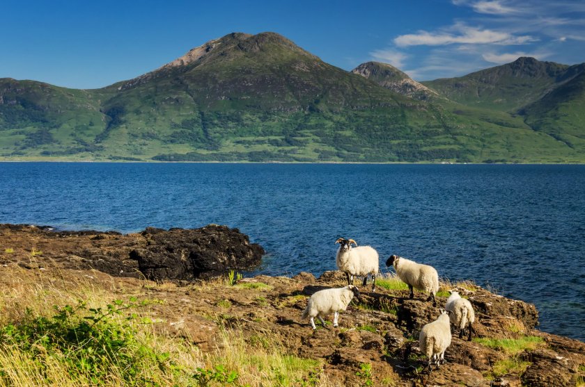 Scottish islanders will be asked their views on changes to agricultural and land use policies