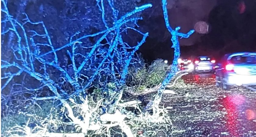 Police hailed the efforts of a farmer who helped clear a fallen tree off a busy main road (Photo: Northamptonshire Police)