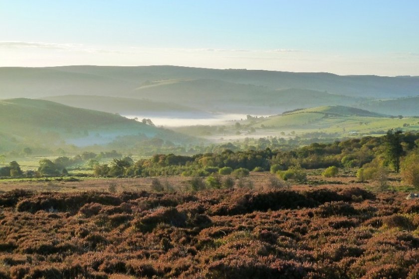 The proposal will see an extension to the existing Stiperstones National Nature Reserve (Photo: Natural England/Defra)