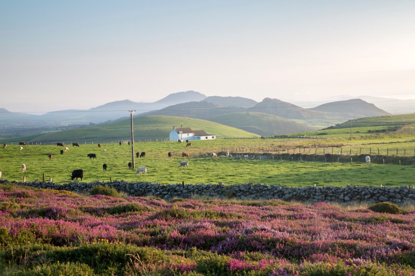 Around a third of land in Wales is under some form of tenancy or let