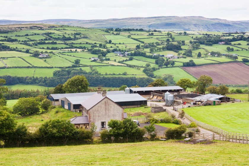 Submitting a single application is one of the most important tasks for farmers in Northern England each year