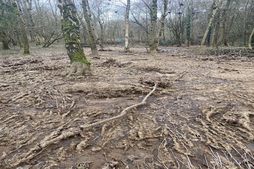 EA officers found slurry pollution through local woodland (Photo: Environment Agency)