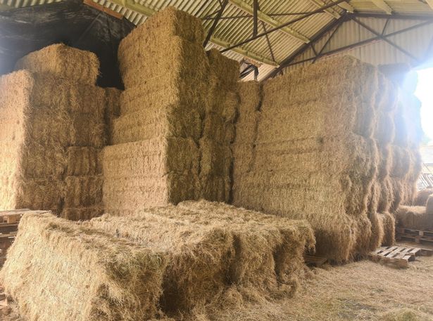 Farm ordered to pay out £40,000 after man crushed by bales - FarmingUK News