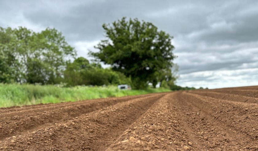 After field trials in the UK and across Europe, potato growers experienced their first full year using the biostimulant in 2023