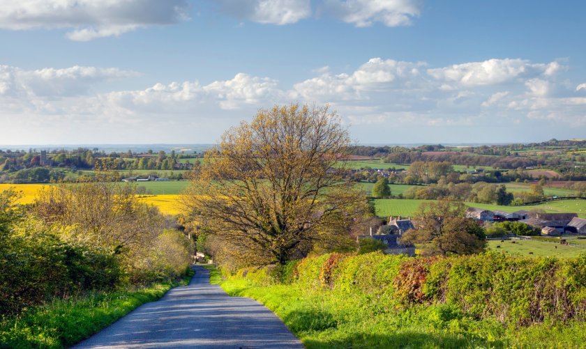 The Management of Hedgerows (England) Regulations 2024 has passed its final hurdle in parliament