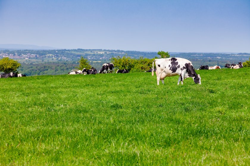 The July milk price increase is the Somerset-based processor's sixth consecutive rise