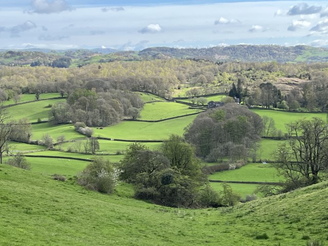 Farmland extending to 41 acres, at Hartbarrow in the Winster Valley, is now for sale