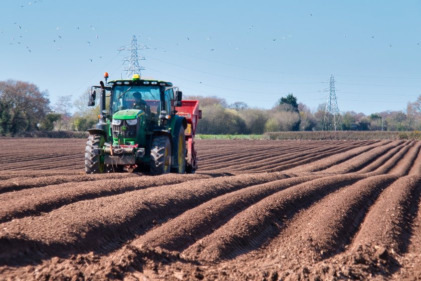 The next UK government is being urged to put policies in place to protect British potato production