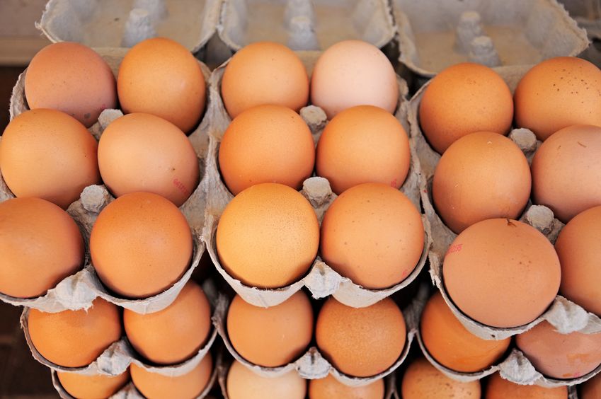 It comes amid ongoing food safety outbreaks linked to eggs and egg products produced outside of the UK