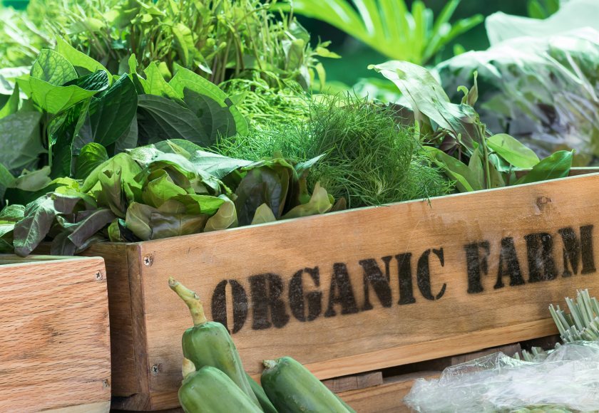 Organic Farmers & Growers (OF&G) has set out proposals to change the UK's 'flawed' food system 