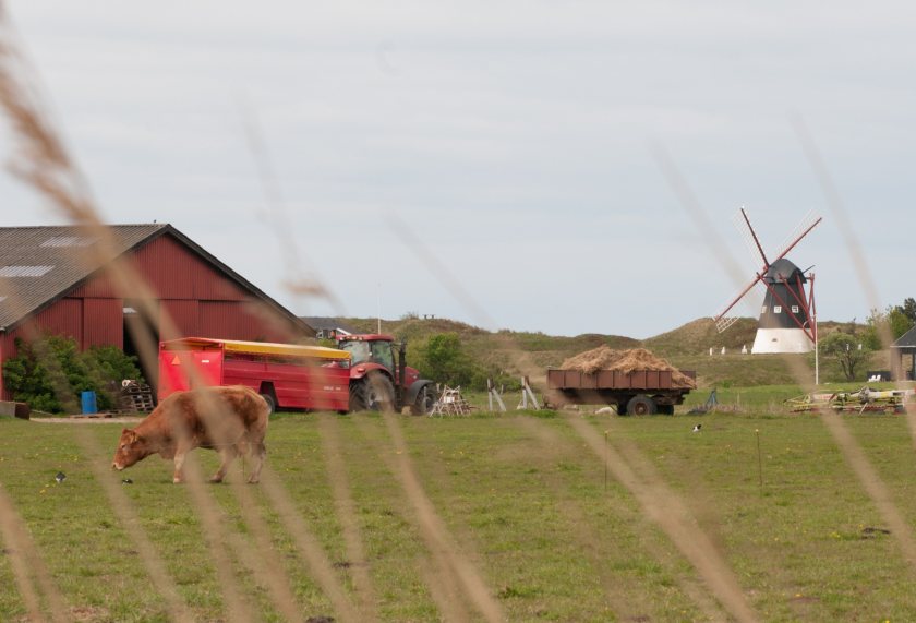 The Danish government is set to roll out Europe's first carbon tax on agriculture
