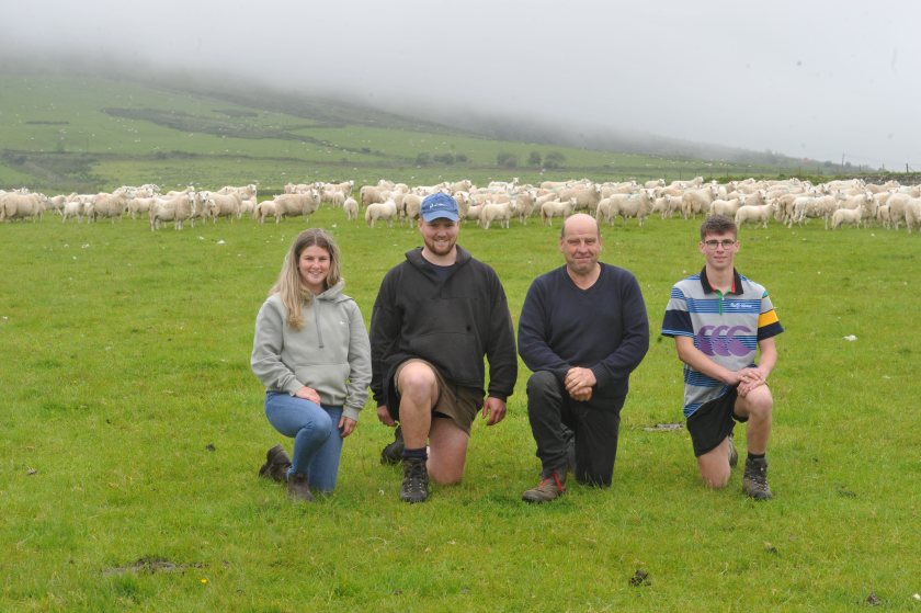 (Photo: Welsh Sheep Genetics Programme)