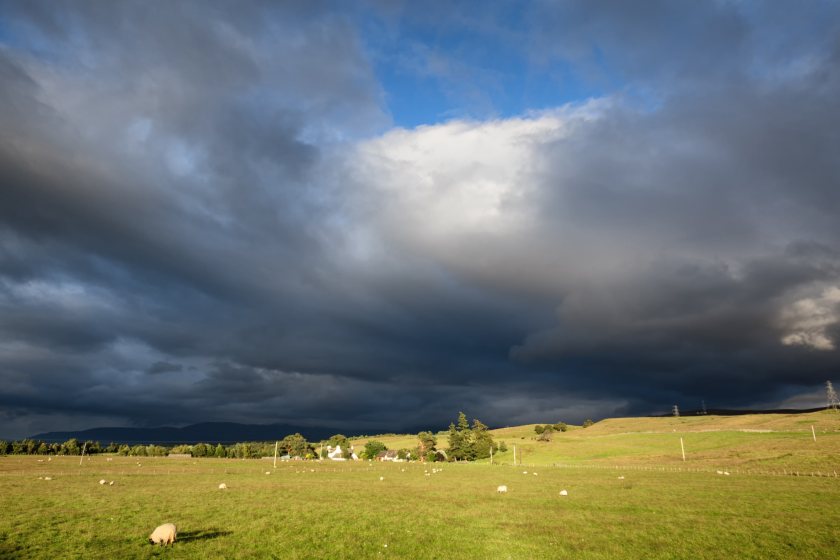 Half of farmers don’t feel positive about their future, according to Defra's results