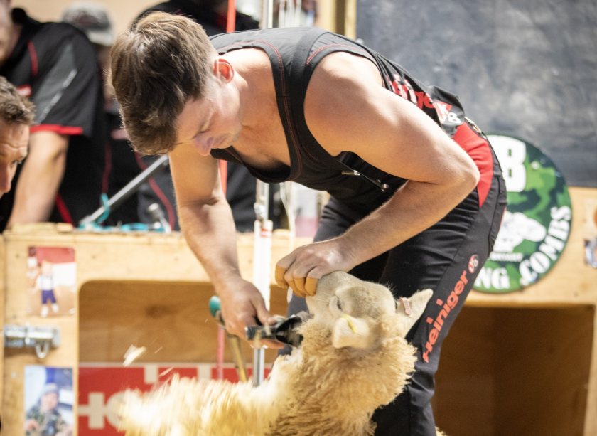 Nick Greaves has successfully set a new 8-hour world lamb shearing record