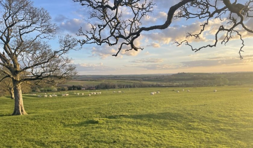 The Leicestershire arable farm is selling carbon credits to a top F1 team following expert advice