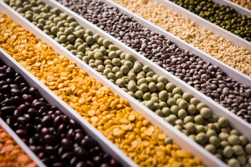 Pulses still remain a niche segment within the global grains and oilseed space, but this is changing