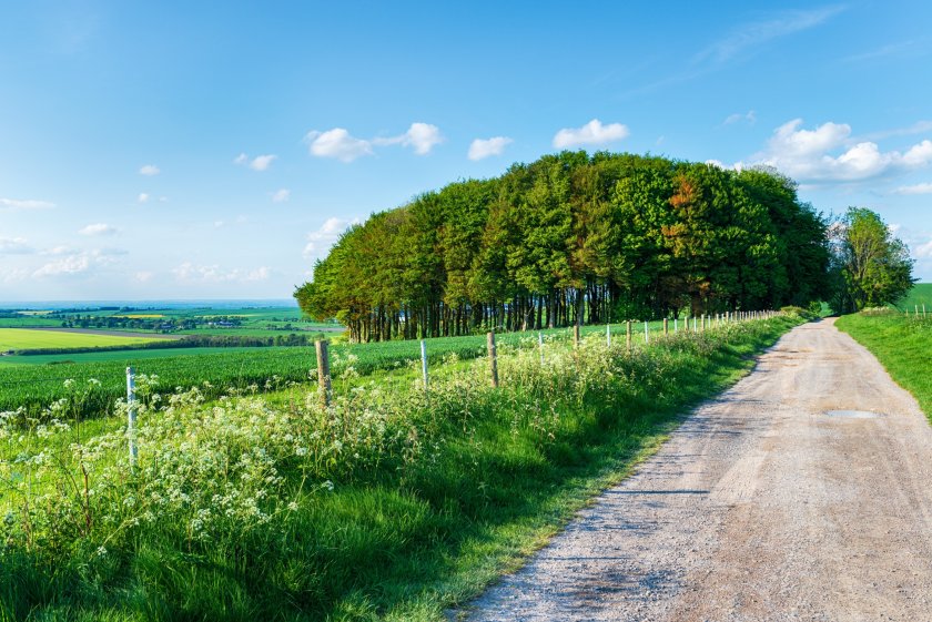 A new poll has revealed that the vast majority of the public value countryside access 