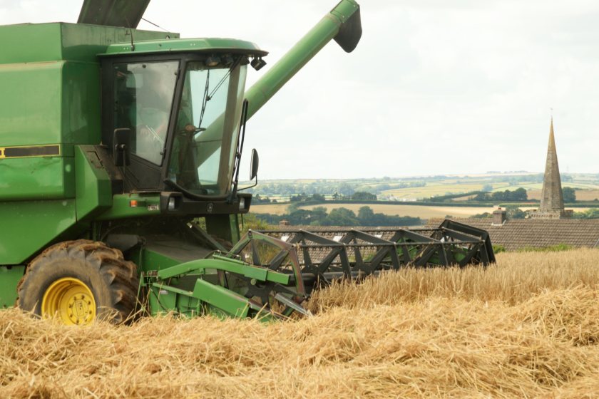 The English wheat harvest is estimated to be 2.2m tonnes, a 18% decline compared to 2023