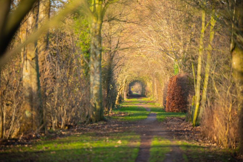 The National Trust will ask its 2.6 million members to vote on the proposal