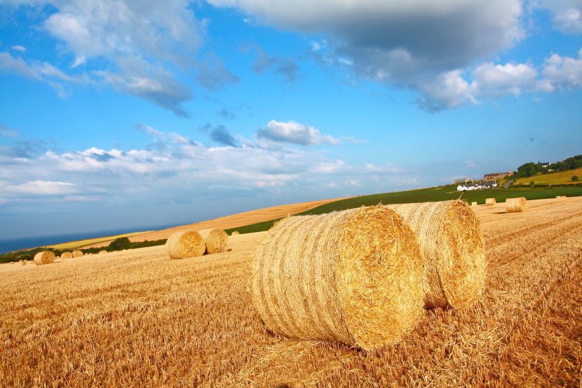 It comes as many parts of Scotland are finally getting harvest underway