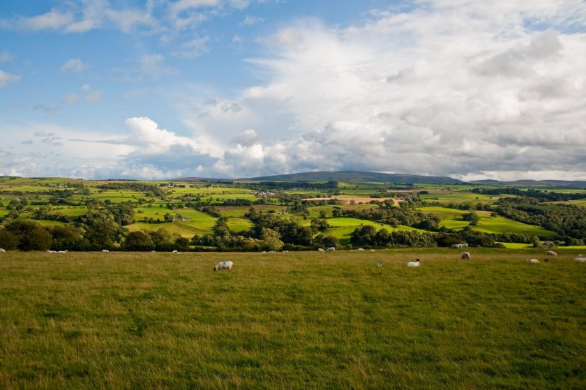 With many legacy schemes set to expire, the RSPB argues that more clarity is needed on the future of new schemes