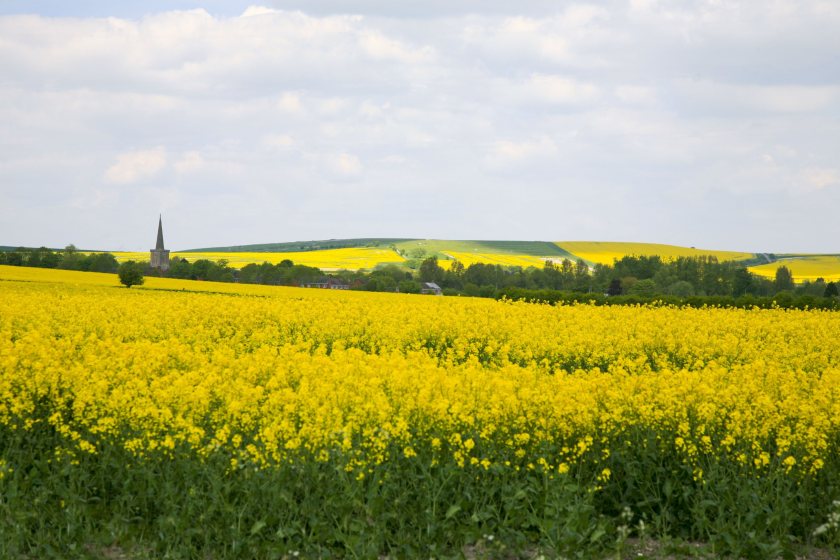 The sector's inaugural 'reboot' meeting sought to find ways to bolster oilseed production in the UK