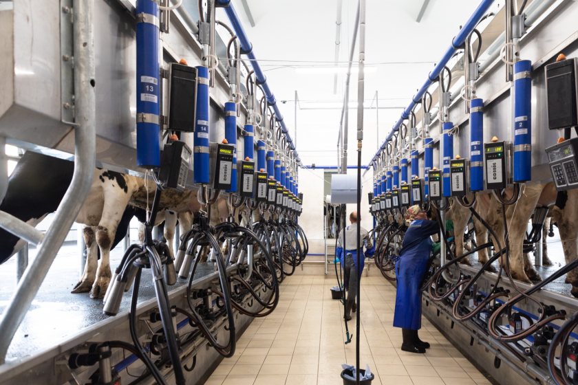 Some dairy farmers said that, without changes, they would consider leaving farming altogether