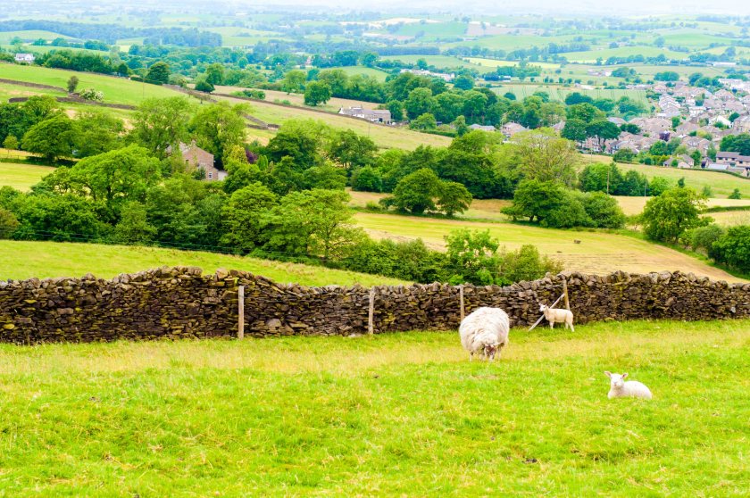 Many farmers could be forced to sell land to pay inheritance taxes, a poll has found